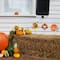Glitzhome® 24" Thanksgiving Metal Football & Turkey Yard Stakes Set